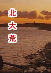 国产精品亚洲精品爽爽
